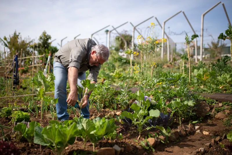 Dirt Under Your Nails at 2 PM: Why Weekday Afternoon Gardening Is the New Decompression Ritual